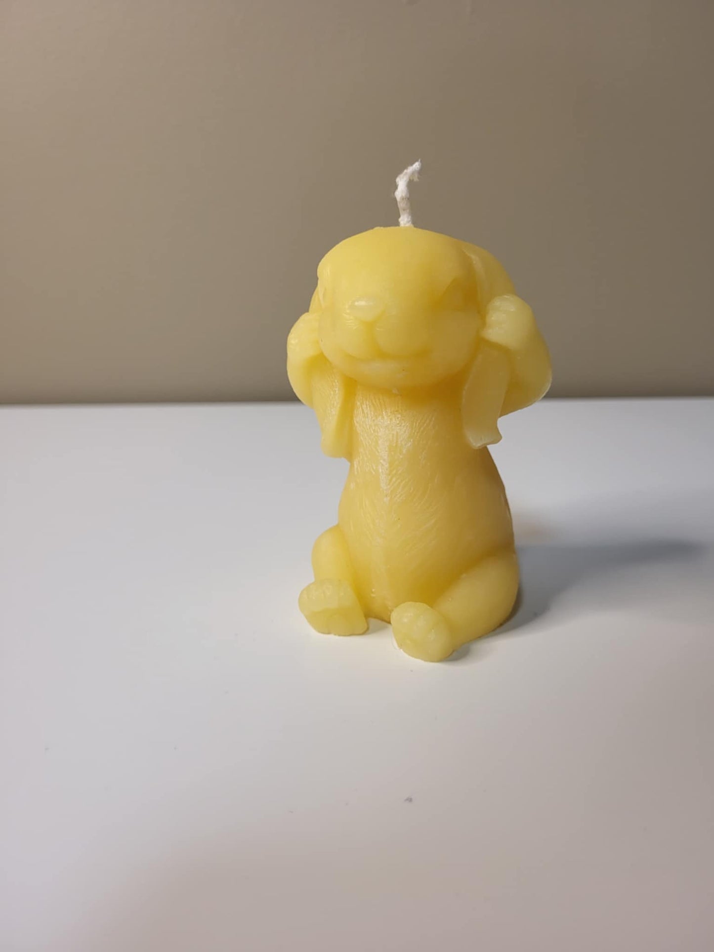 Kanína með hendur um eyru kerti