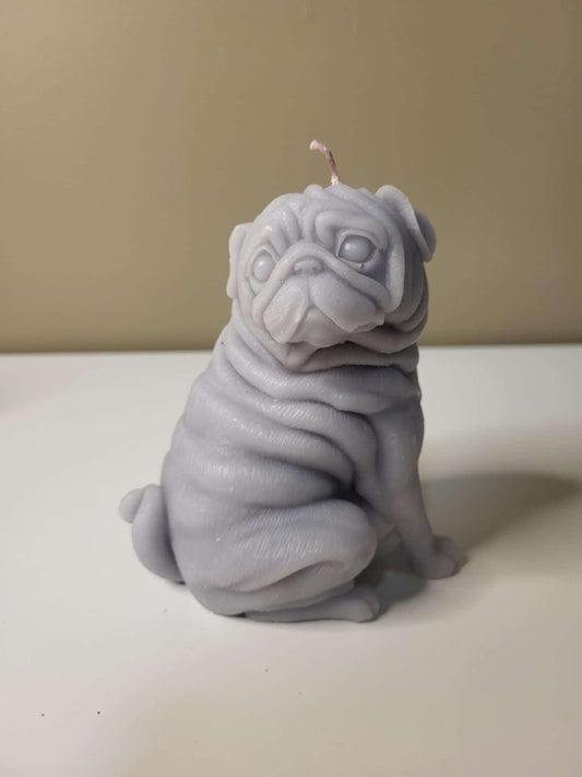 Pug hundur