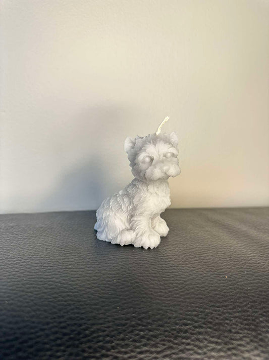Terrier